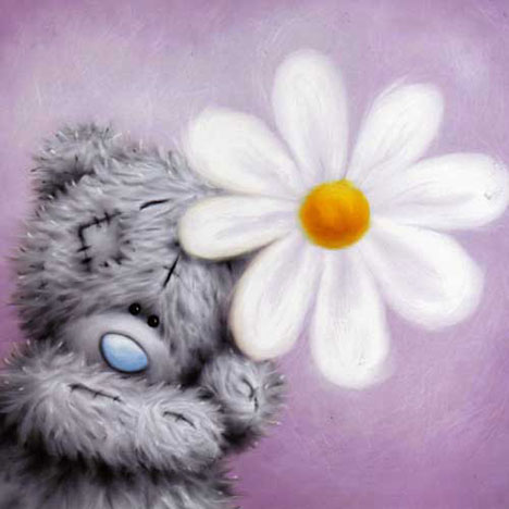 Bear with Daisy Me to You Bear Card £1.85